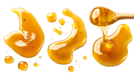 honey spill set on transparent or white background, top view, png isolated on a transparent background