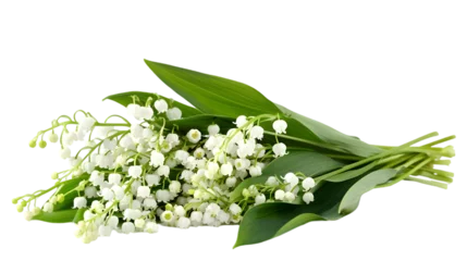 Lily of the valley isolated on a transparent background © mustkim