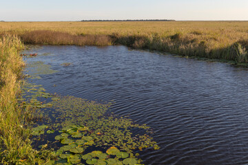 A scenic view of Lacassine National Wildlife Refuge, in Lake Arthur, Louisiana.