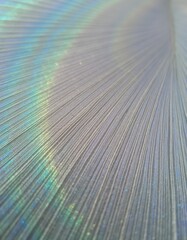 Fototapeta premium A vibrant display of peacock feathers, showcasing their iridescent colors and intricate patterns.