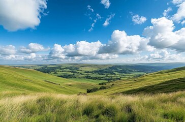 Obraz premium A vast grassland under a blue sky with fluffy white clouds in Inner Mongolia, showcasing the natural beauty and expansive landscape, perfect for a peaceful and tranquil outdoor setting.