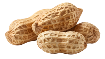 peanut isolated on a transparent background
