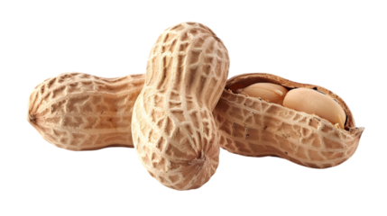 peanut isolated on a transparent background