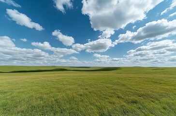 Obraz premium A vast grassland under a blue sky with fluffy white clouds in Inner Mongolia, showcasing the natural beauty and expansive landscape, perfect for a peaceful and tranquil outdoor setting.