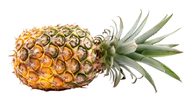pineapple isolated on a transparent background