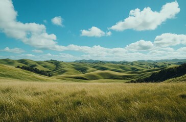 Fototapeta premium A vast grassland under a blue sky with fluffy white clouds in Inner Mongolia, showcasing the natural beauty and expansive landscape, perfect for a peaceful and tranquil outdoor setting.
