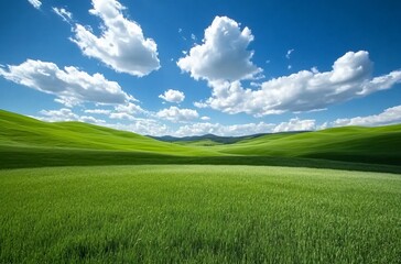 Obraz premium A vast grassland under a blue sky with fluffy white clouds in Inner Mongolia, showcasing the natural beauty and expansive landscape, perfect for a peaceful and tranquil outdoor setting.