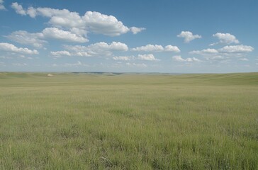 Obraz premium A vast grassland under a blue sky with fluffy white clouds in Inner Mongolia, showcasing the natural beauty and expansive landscape, perfect for a peaceful and tranquil outdoor setting.