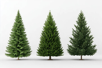 Fototapeta premium Christmas tree display in a festive setting nature scene celebratory atmosphere traditional viewpoint