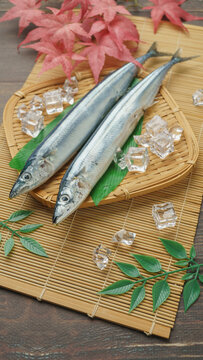 日本の秋の味覚｜生のサンマ・pacific saury