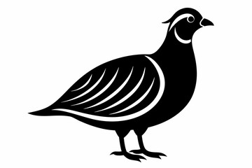 Chukar silhouette vector,Charming Silhouette of Chukar Bird Vector Illustration on white background.