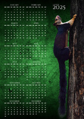 Fototapeta premium Majestic Moments: 2025 Calendar with the Indian Giant Squirrel