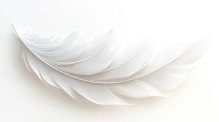 Obraz premium Delicate white feather, soft, elegan