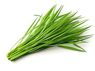 Awesome Fresh Chinese Chive leaves on white background
