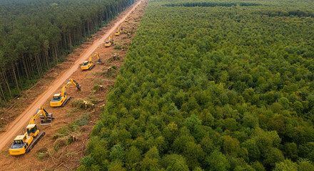 A lush forest divided by a line of deforestation, with machines on one side and untouched trees on the other