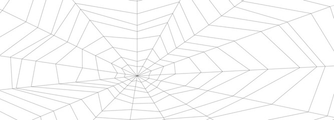 Obraz premium Web. The abstract linear background creates the illusion of a spider web. Flat style