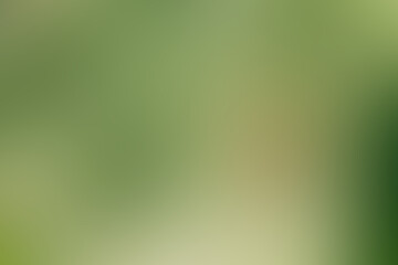 Abstract green gradient background with soft blurred texture
