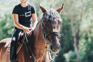 A rider sits confidently on a brown horse, enjoying a peaceful ride through a lush, green outdoor...