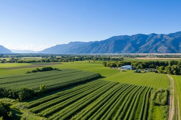 Aerial view of farmland with mountains.