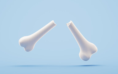 Biological anatomy of the skeleton and bone health, 3d rendering.