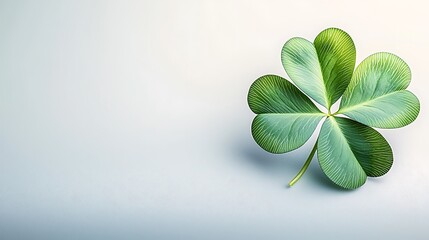 A vibrant, lush four leaf clover resting elegantly on a clean, white background, its intricate veins and unique shape standing out against the stark backdrop.