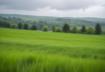 Fototapeta premium A lush green field with blurred trees in the background on a cloudy day