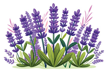 Obraz premium Lavender Flower Image