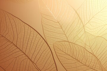 Obraz premium autumn leaves background