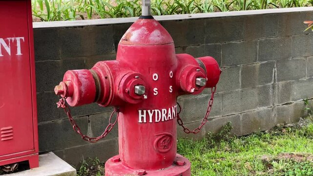 footage of a red fire hydrant in the office garden