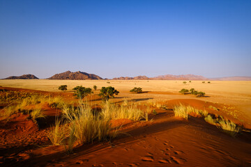  A breathtaking sunrise illuminates the peaks of Namibia's Sossusvlei Mountains and the iconic Elim Dunes, casting a golden glow over the tranquil desert. A moment of pure natural wonder.