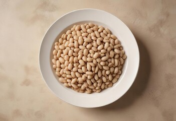 High-quality image of cooked Great Northern Beans with a neutral colored plate , kitchen basics, cooked great northern beans, legume