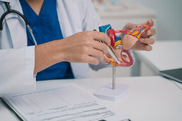 In the clinic, the cardiology team used a detailed model to explain the anatomy of the heart,...