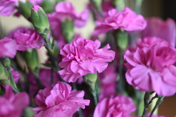 Obraz premium a bouquet of flowers in a vase