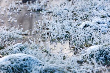A field of grass covered in frost and snow