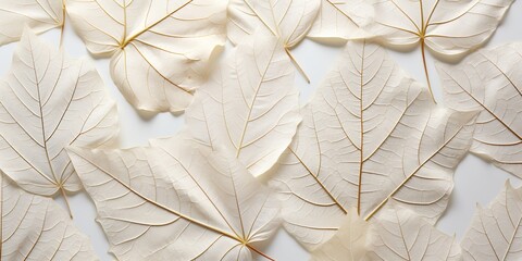 close up of feather