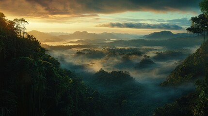 Obraz premium Misty sunrise over lush green mountain range.