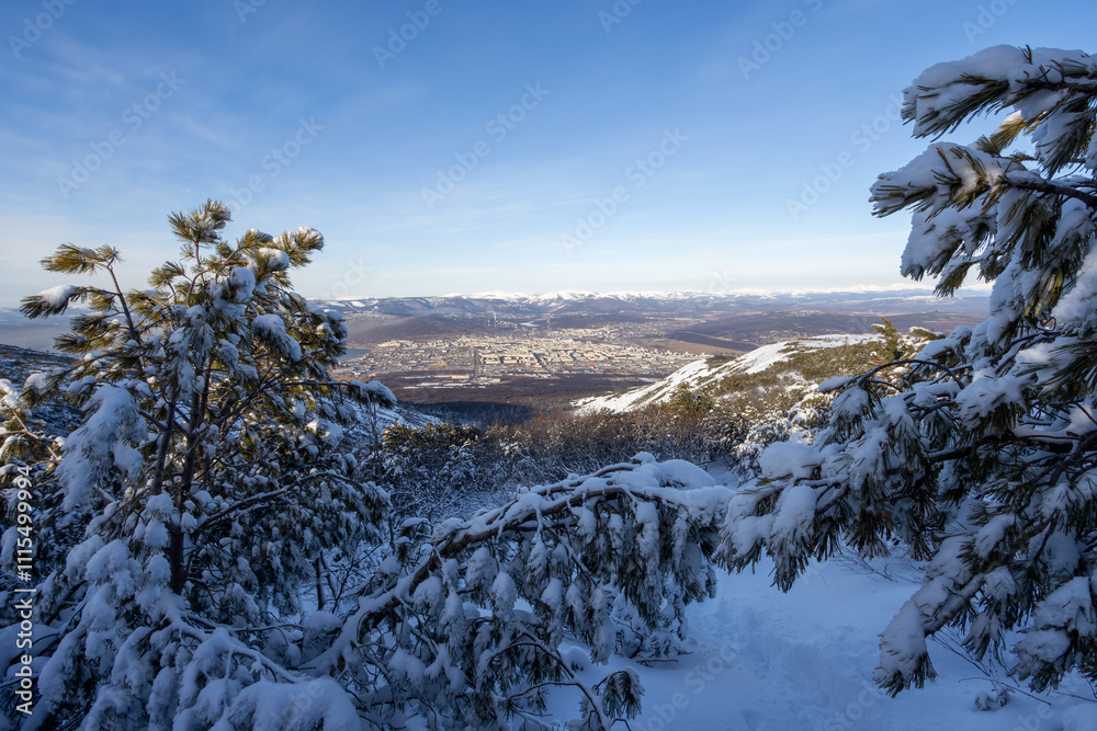 Wall mural beautiful view from the mountain to the city of magadan. in the foreground are snow-covered branches
