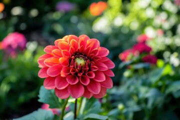 Radiant red flower blooming in a lush garden, showcasing vivid colors and delicate petals under bright sunlight, symbolizing life and growth