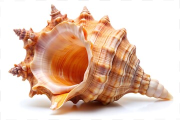 Obraz premium Indian festival of Holi with vibrant graphic elements designed on a white background. 