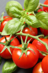 Fresh red tomatoes on wooden background, top view