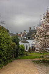 A peaceful garden path with greenery on the left, a blooming magnolia tree on the right, and charming white houses with slanted roofs in the background under a cloudy sky. Wijk bij Duurstede landscape