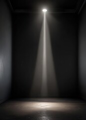 Obraz premium A darkened room with a single spotlight shining down on a central area, accentuating the shadows and highlights , ambiance, focus