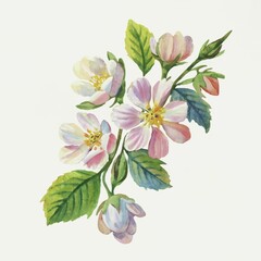Obraz premium Illustration of beautiful spring flowers