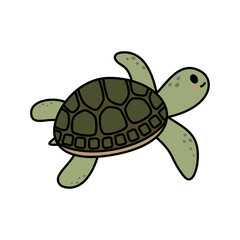 Obraz premium turtle