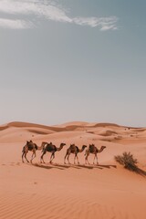A line of camels walking through a vast desert landscape.