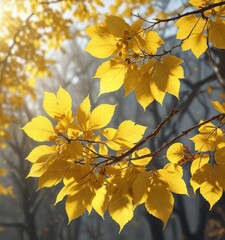Shiny yellow leaves on a sunny branch with light effects, light effects, leaves, macro photography