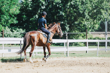 A skilled equestrian rides a brown horse within a sunlit outdoor arena amidst lush greenery, focusing on training and technique.