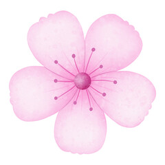 Fototapeta premium Sakura 