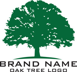 Fototapeta premium Oak Tree Vector Logo Template. Vector silhouette of a tree.