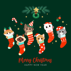 Collection of cute cats in Christmas socks. Illustrations for Christmas and New Year.